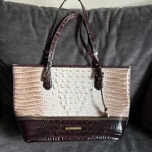 Medium Asher Brahmin